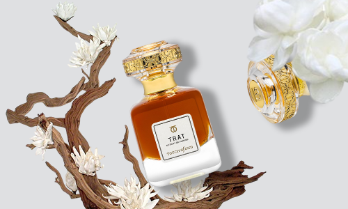 What Is Oud (Oudh) Fragrance and Why Is It So Expensive?